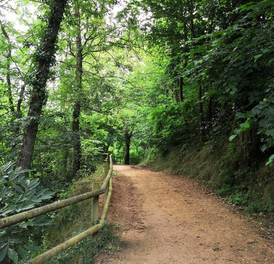 Ca La Pauleta Villa Sant Hilari Sacalm Dış mekan fotoğraf
