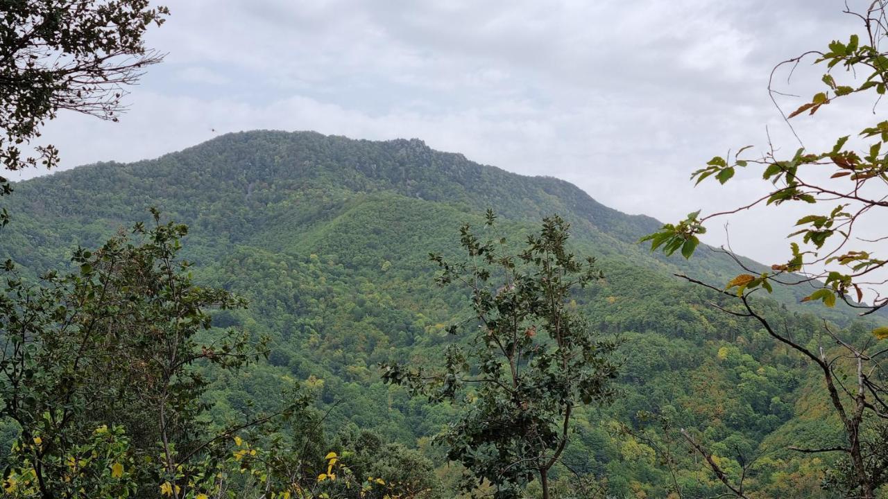 Ca La Pauleta Villa Sant Hilari Sacalm Dış mekan fotoğraf