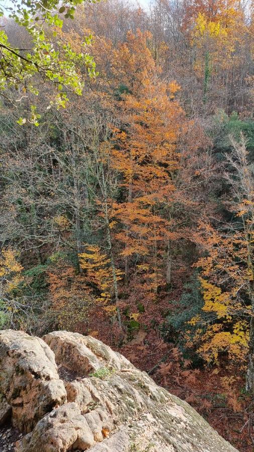Ca La Pauleta Villa Sant Hilari Sacalm Dış mekan fotoğraf