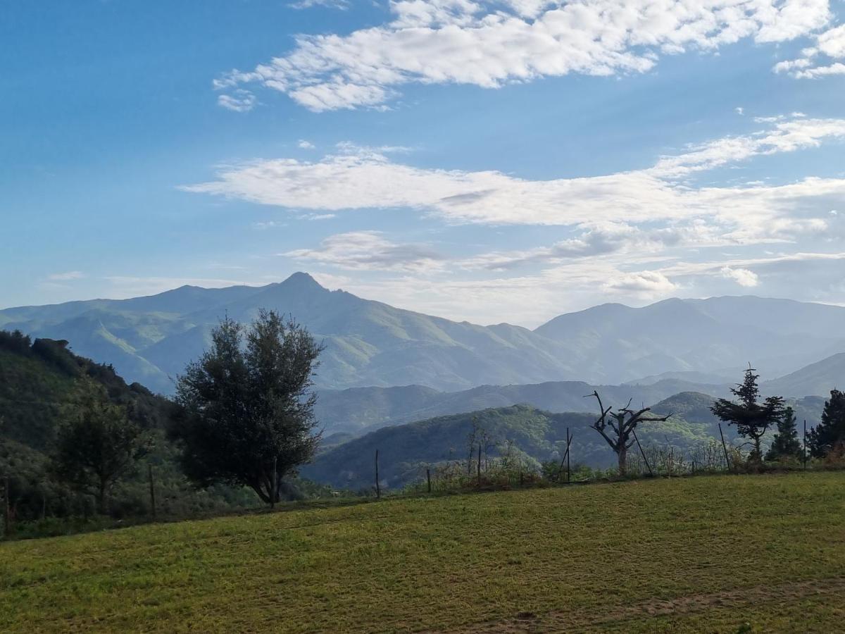 Ca La Pauleta Villa Sant Hilari Sacalm Dış mekan fotoğraf